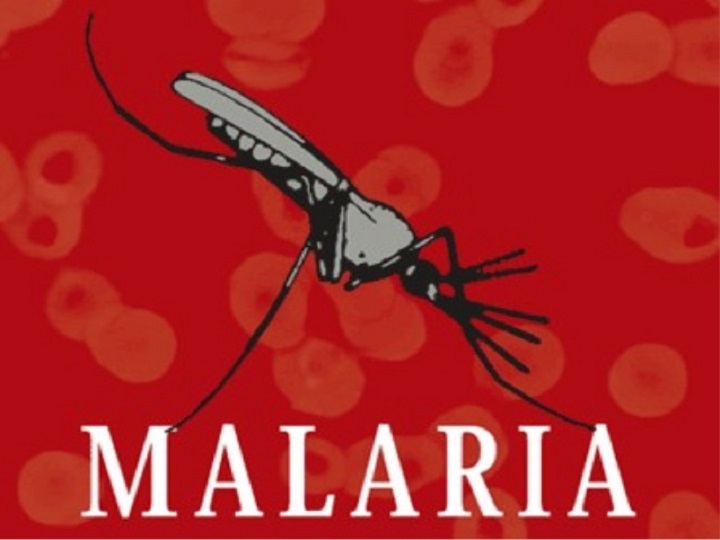720 malaria 1