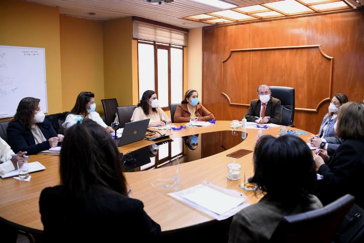 Ministerio de Salud de Bolivia - Ministerio de Salud y OPS/OMS trabajan en  el acceso equitativo a la vacuna contra la COVID-19