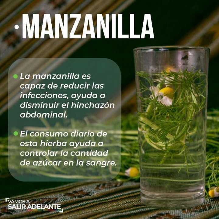 Infusión de manzanilla: propiedades, beneficios y contraindicaciones